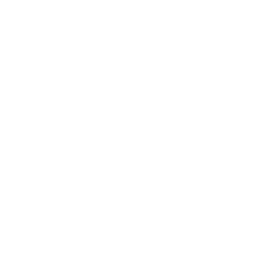 ميتا دنت