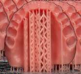 3D Accuprint Splint Hard/Soft — راتنج جبيرة