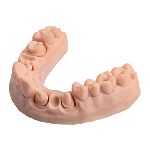 3D Accuprint Model Standard — راتنج موديل يومي — 3