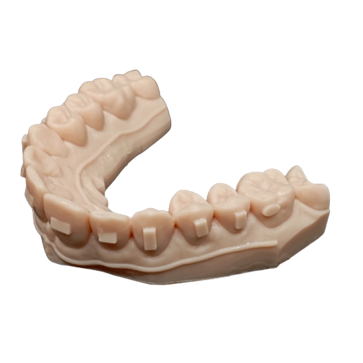 3D Accuprint Model Standard — راتنج موديل يومي — 2